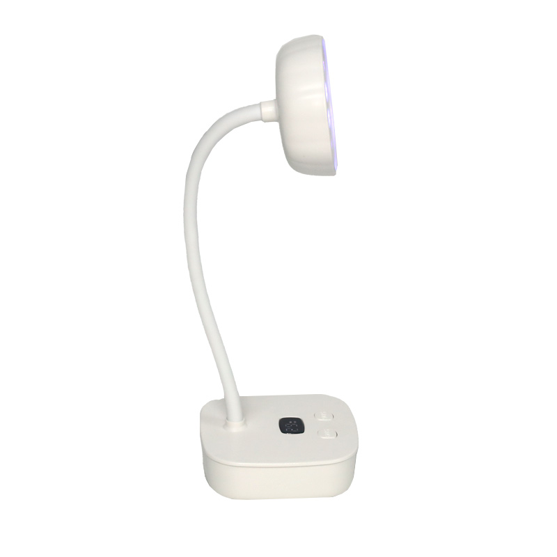 Nail Lamp Market Trends