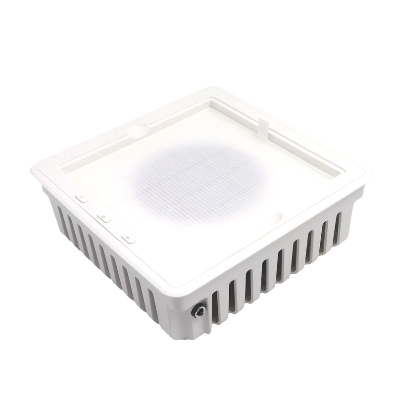 Profesjonell spikerstøvsuger